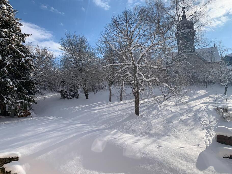 Ancienne Ferme Comtoise 4 Etoiles, 11 Personnes Lac St-Point/Mont D'Or Montperreux Экстерьер фото